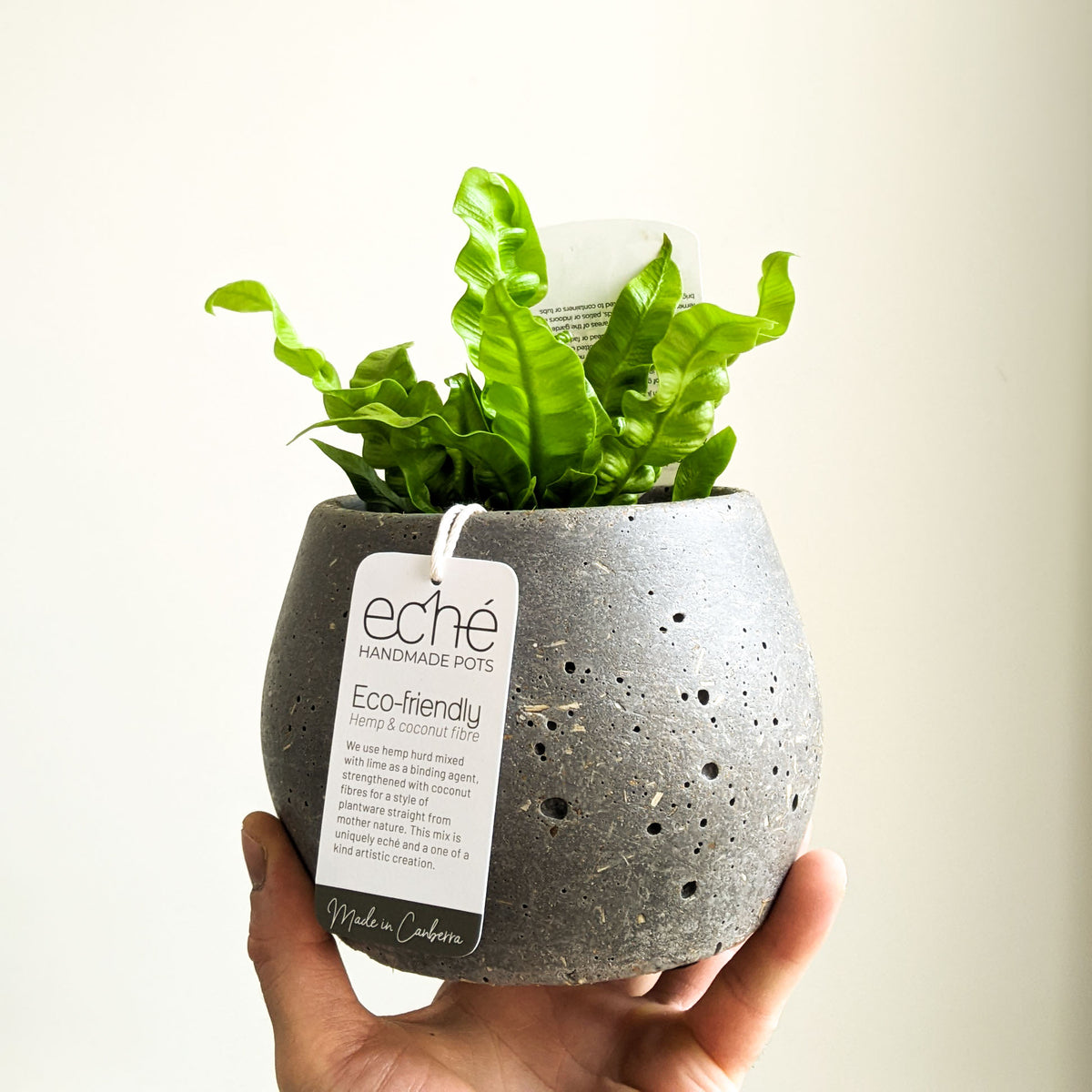 Eché Hemp & Coconut - KOALA pot SM