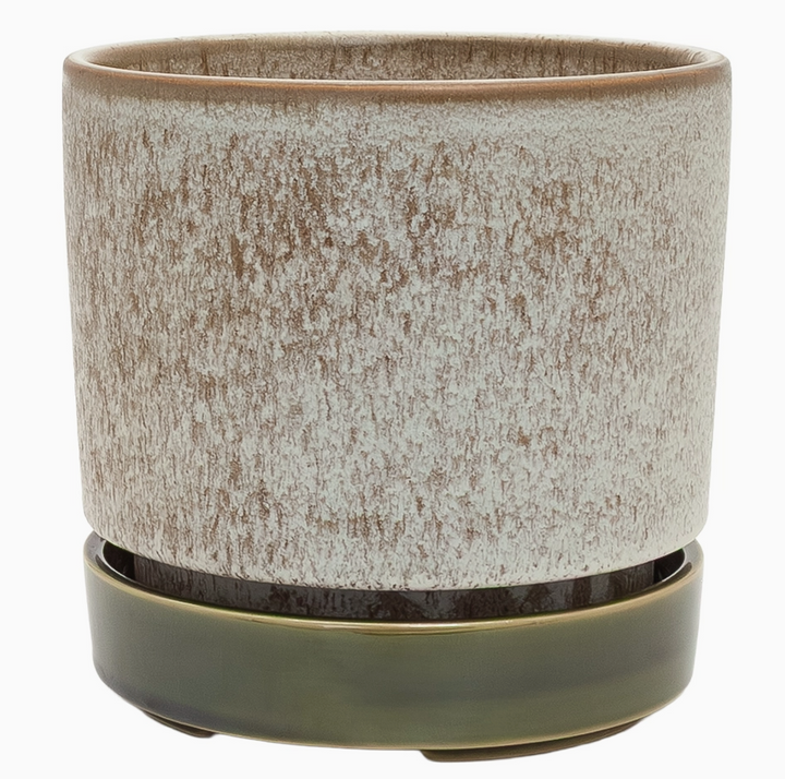 Potted Pollock Planter