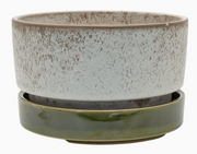 Potted Pollock Planter