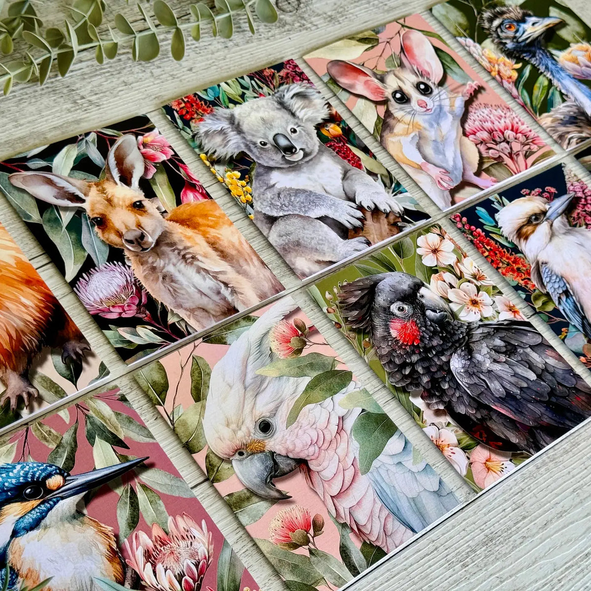 Scattered Seed Co Greeting Cards - various