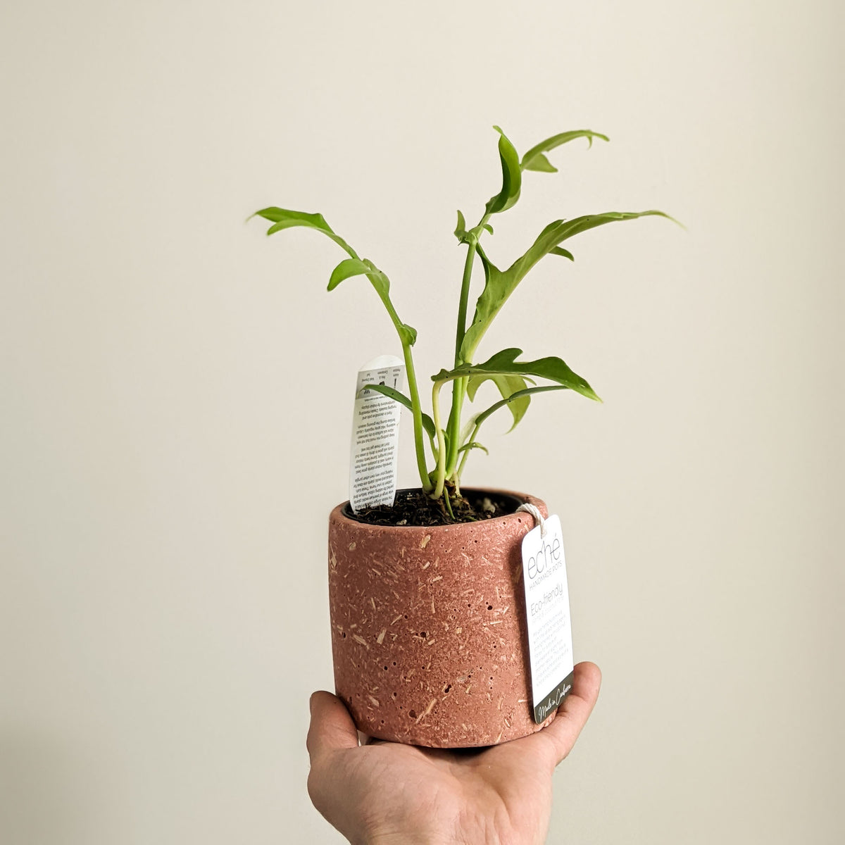 Eché Hemp & Coconut - CYLINDER pot