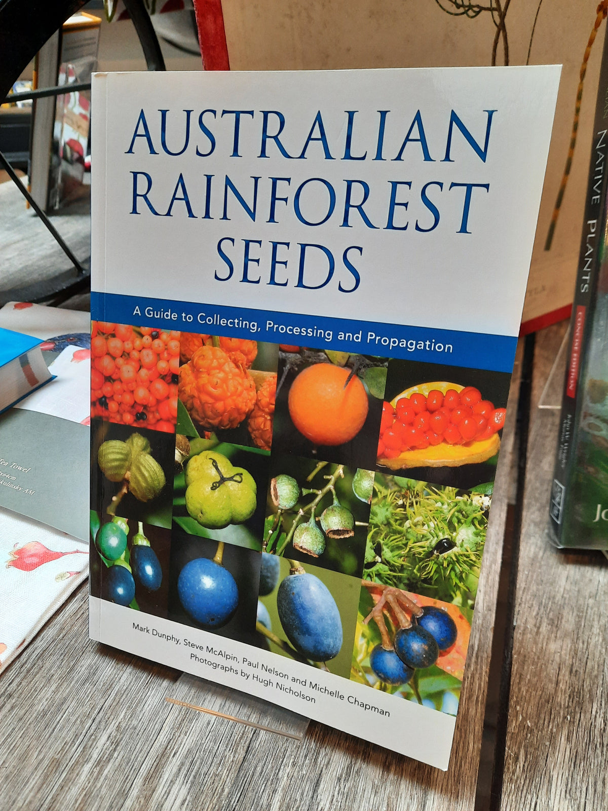 Australian Rainforest Seeds