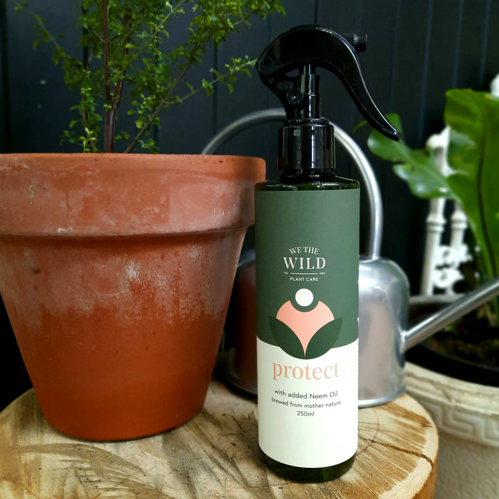 'We The Wild' Protect Spray (250ml)