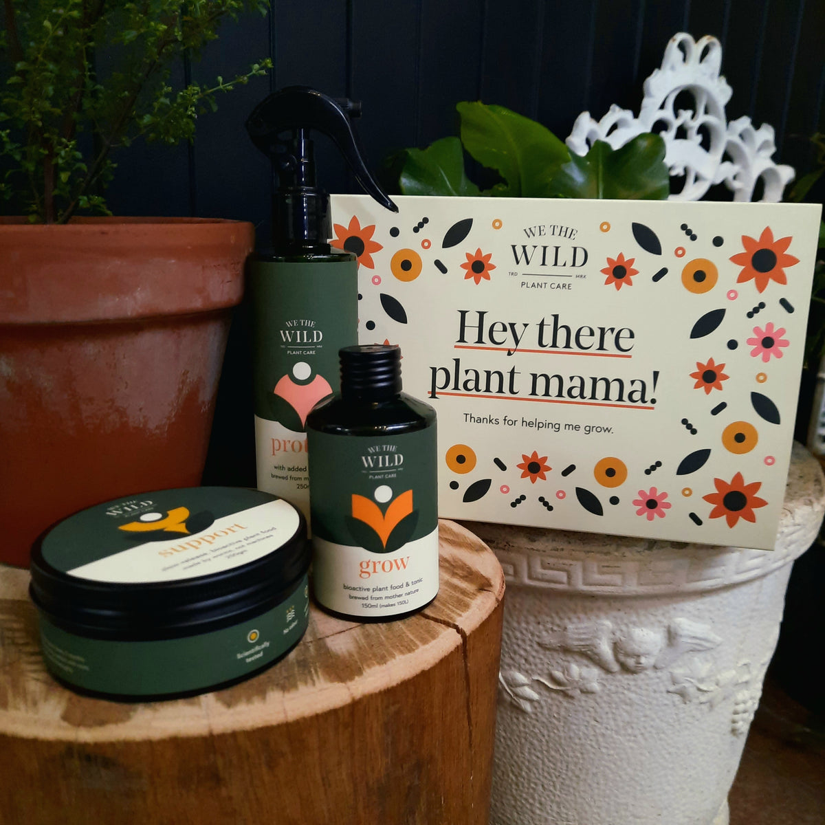 &#39;We The Wild&#39; Plant Mama Plant Essential Gift Kit