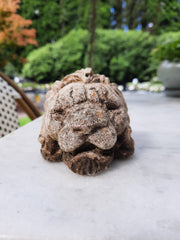 Vintage Pot Feet - Lion Heads