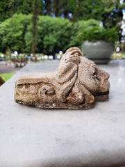 Vintage Pot Feet - Lion Heads