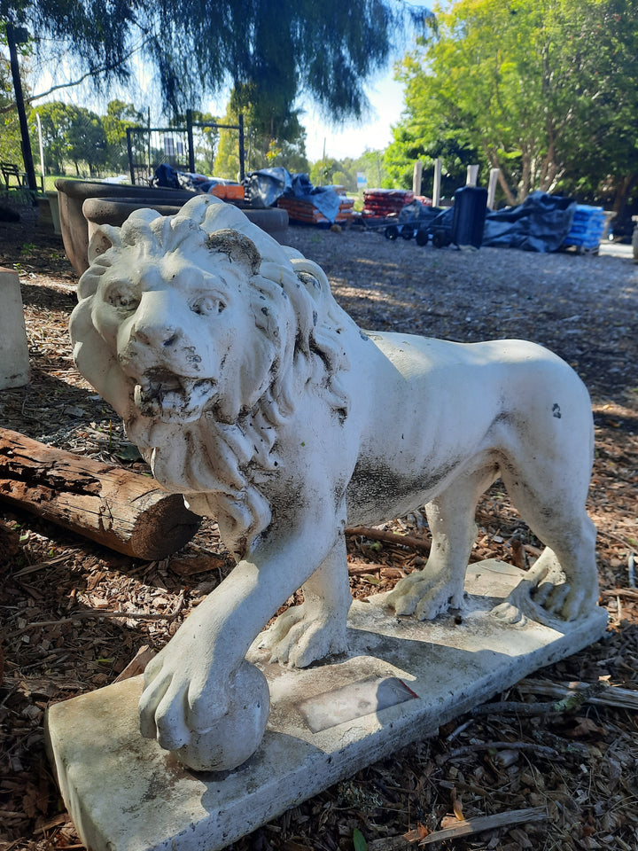 Vintage Pot 0111 Lion
