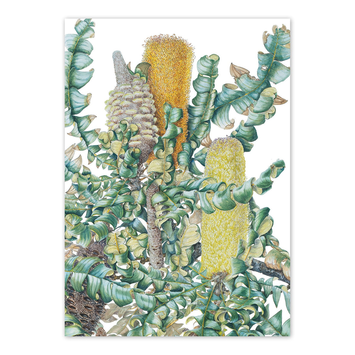A6 Card, Studio Nikulinsky
