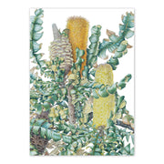A6 Card, Studio Nikulinsky