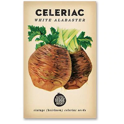 CELERIAC WHITE ALABASTER HEIRLOOM SEEDS