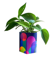 Pop Up Pot - by Sow 'n Sow