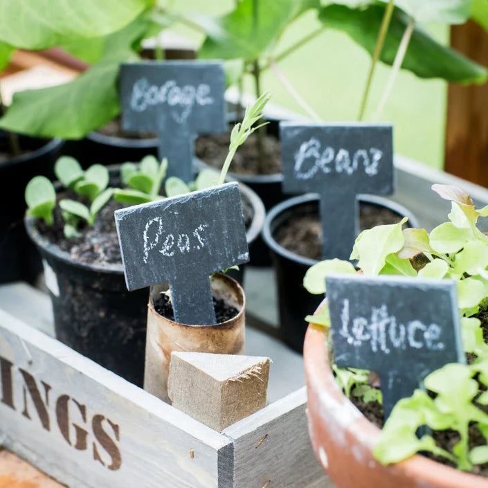 Slate Plant Tags - set of 6