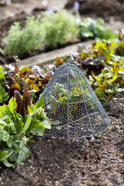 Garden Cloche - Large