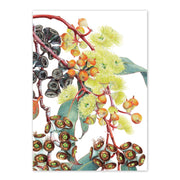 A6 Card, Studio Nikulinsky