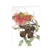 A6 Card, Studio Nikulinsky
