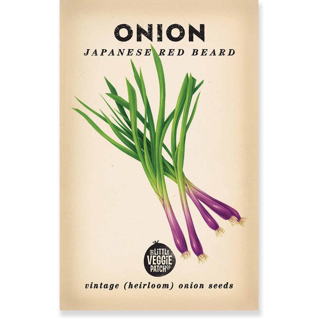 ONION &quot;JAPANESE RED BEARD&quot; HEIRLOOM SEEDS