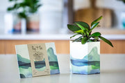 Pop Up Pot - by Sow 'n Sow