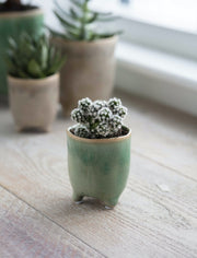 Positano Pot - Foliage Green (small)