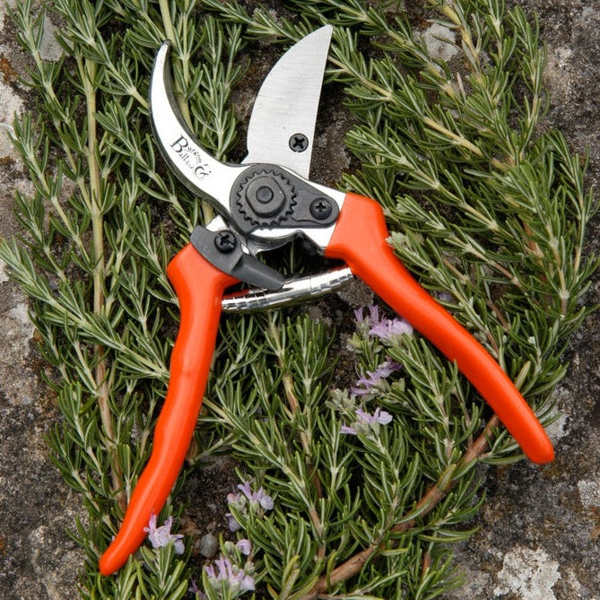 RHS Bypass Secateur (with spare blade and spring)
