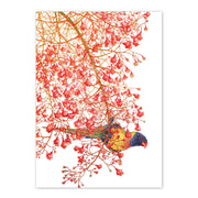 A6 Card, Studio Nikulinsky