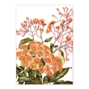 A6 Card, Studio Nikulinsky