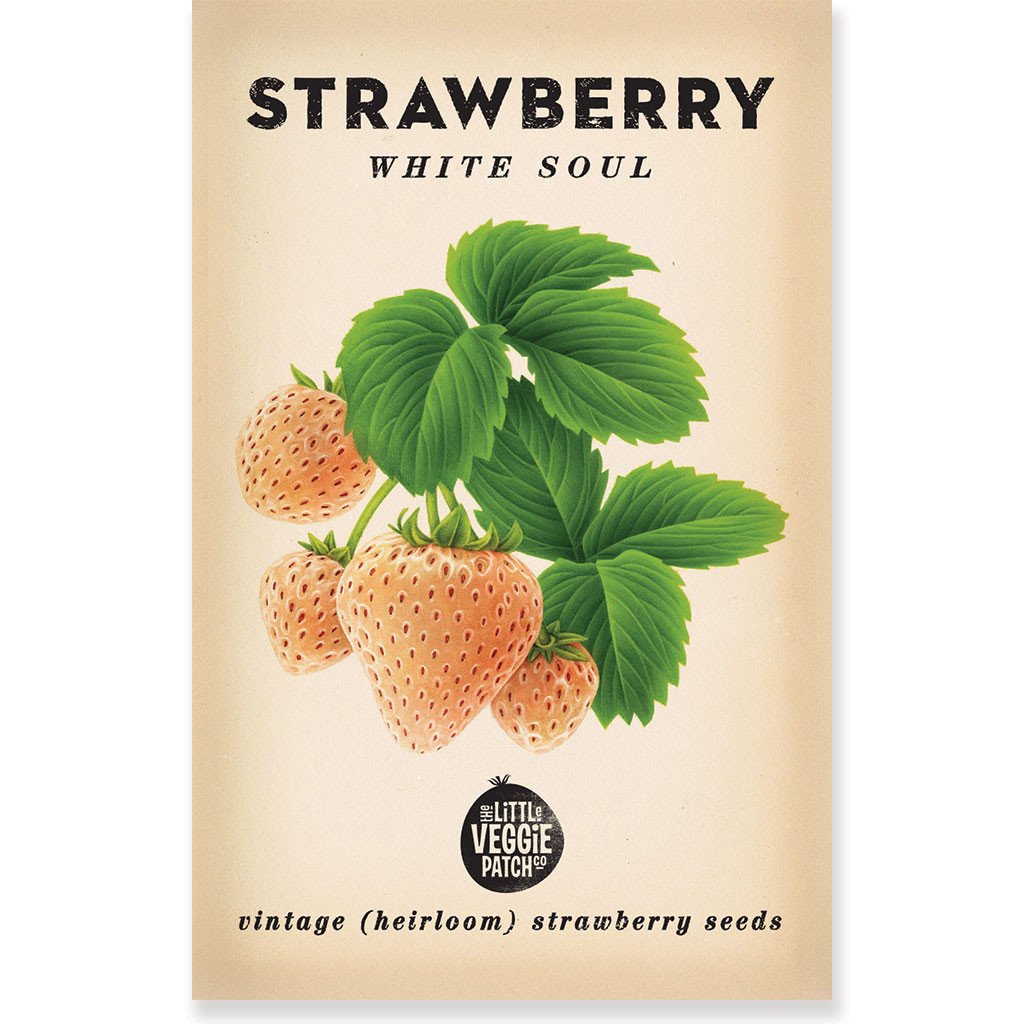 STRAWBERRY "WHITE SOUL HEIRLOOM SEEDS