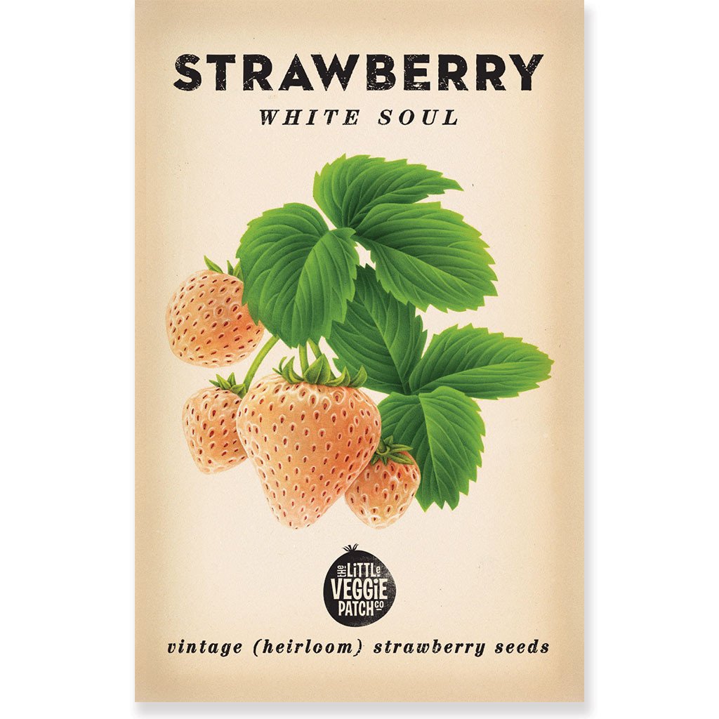 STRAWBERRY &quot;WHITE SOUL HEIRLOOM SEEDS