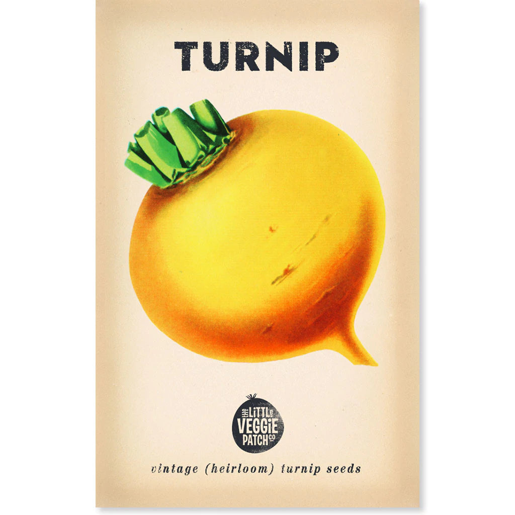 TURNIP HEIRLOOM SEEDS