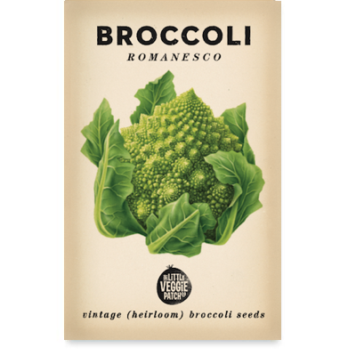 BROCCOLI 'ROMANESCO' HEIRLOOM SEEDS