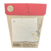 Gift Seeds - Christmas Daisies