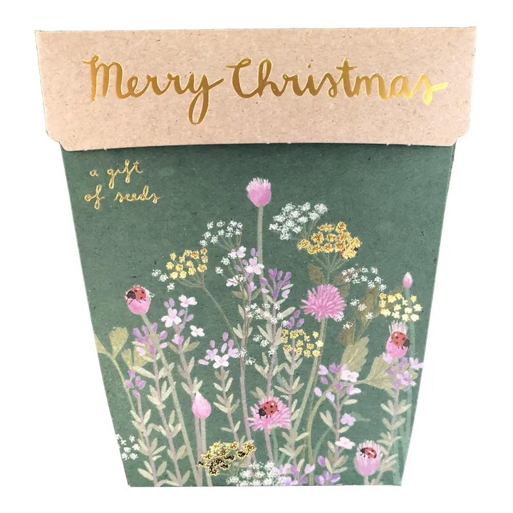 Seed Gift Seeds - Christmas Herbs
