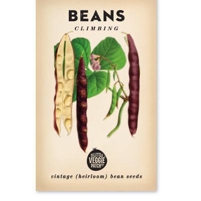 BEANS CLIMBING 'SCARLETT RUNNER' HEIRLOOM SEEDS