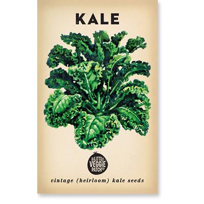 KALE 'DWARF BLUE' HEIRLOOM SEEDS