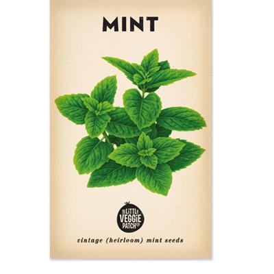 MINT HEIRLOOM SEEDS
