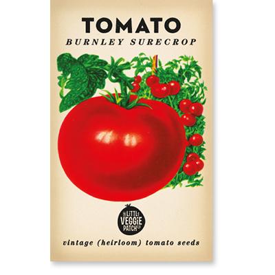 TOMATO 'BURNLEY SURECROP' HEIRLOOM SEEDS