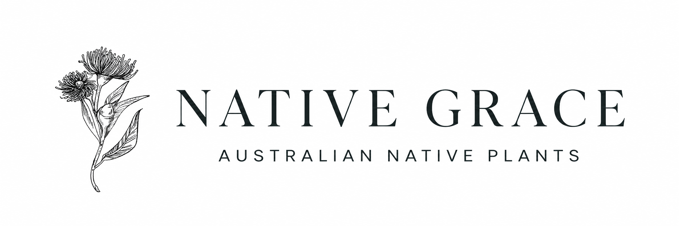 Native Grace Australian Native Plants